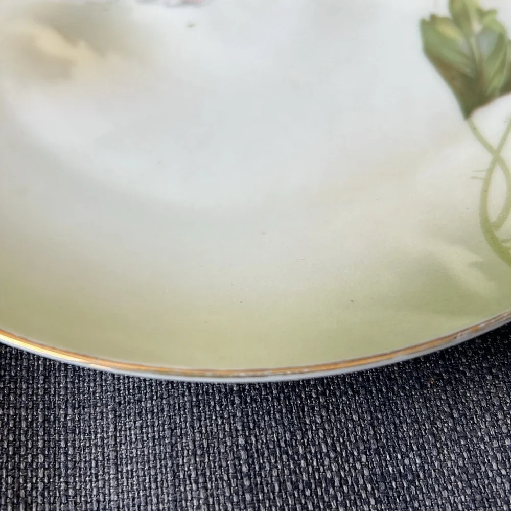 Prussia Royal Rudolstadt elegant antique